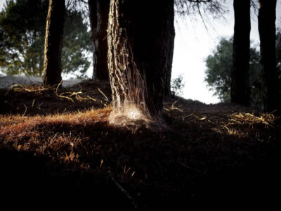 Χρήστος Σωτηρόπουλος