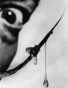 Philippe Halsman
