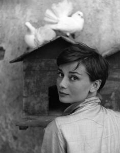 Philippe Halsman, Audrey Hepburn