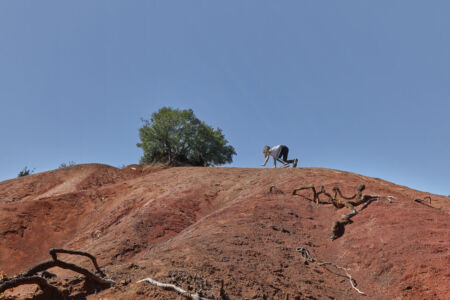 Γιάννης Ζινδριλής
