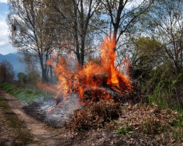 Ηλίας Κουμουλίδης