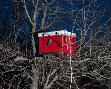 Ηλίας Κουμουλίδης