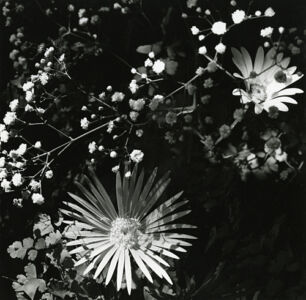 Paolo Monti