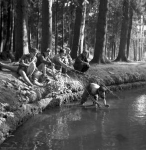 Ernö Vadas