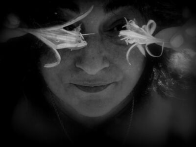 Δέσποινα Αποστολίδου - Θαλάσσιος Ασφόδελος