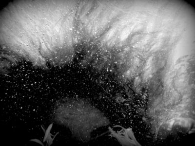 Δέσποινα Αποστολίδου - Θαλάσσιος Ασφόδελος