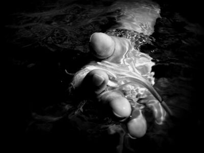 Δέσποινα Αποστολίδου - Θαλάσσιος Ασφόδελος