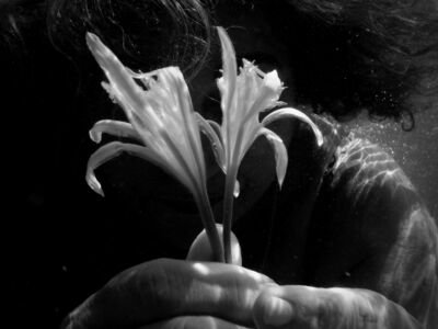 Δέσποινα Αποστολίδου - Θαλάσσιος Ασφόδελος