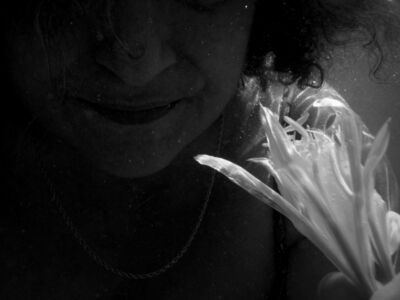 Δέσποινα Αποστολίδου - Θαλάσσιος Ασφόδελος