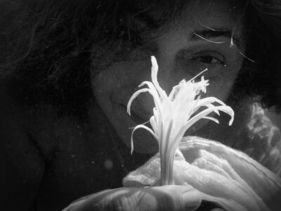 Δέσποινα Αποστολίδου - Θαλάσσιος Ασφόδελος