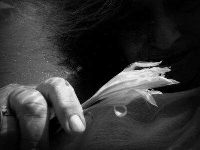 Δέσποινα Αποστολίδου - Θαλάσσιος Ασφόδελος