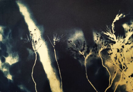 Ευτυχία Αλεξοπούλου