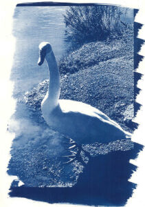 Μαρία Αρετάκη