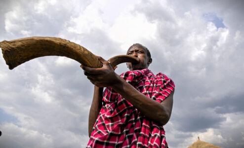 Κάθυ Βολταίρα