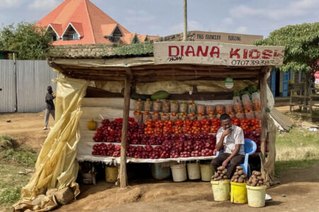 Κάθυ Βολταίρα