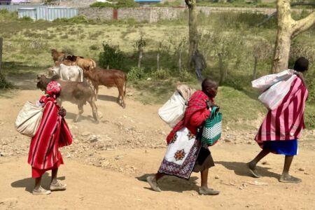 Κάθυ Βολταίρα