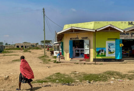 Κάθυ Βολταίρα