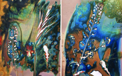 Βασιλική Χατζηγιαννάκη