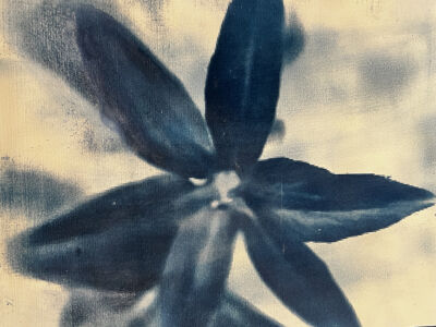 Κατερίνα Μπιζώνη