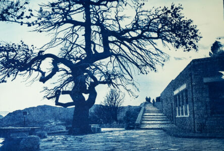 Μιχάλης Παπαϊωάννου