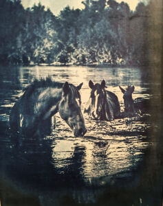 Μαριάνθη Πλειώνη