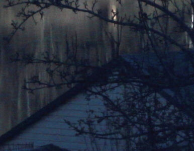 Δανάη Παναγιωτίδη – We live inside a dream