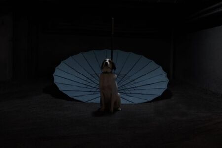 Αχιλλέας Λαχανάς