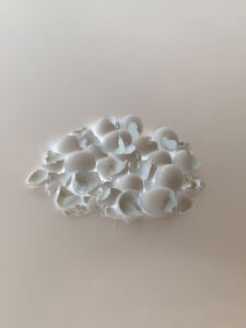 Δανάη Παναγιωτίδη – We live inside a dream