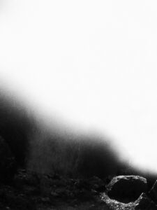 Δανάη Παναγιωτίδη – We live inside a dream