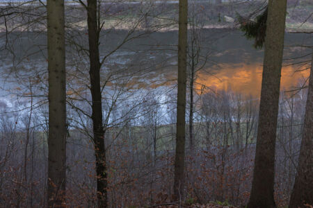 Δανάη Παναγιωτίδη – We live inside a dream