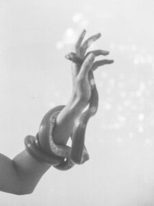 Δανάη Παναγιωτίδη – We live inside a dream