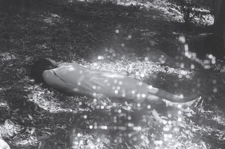 Δανάη Παναγιωτίδη – We live inside a dream