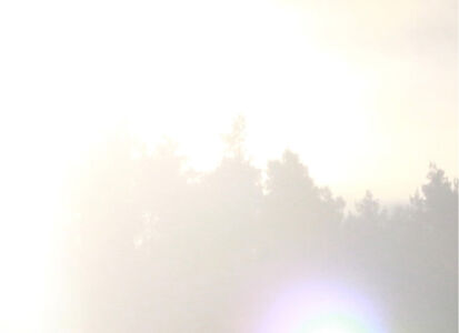 Δανάη Παναγιωτίδη – We live inside a dream