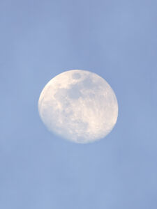 Δανάη Παναγιωτίδη – We live inside a dream