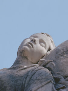 Δανάη Παναγιωτίδη – We live inside a dream