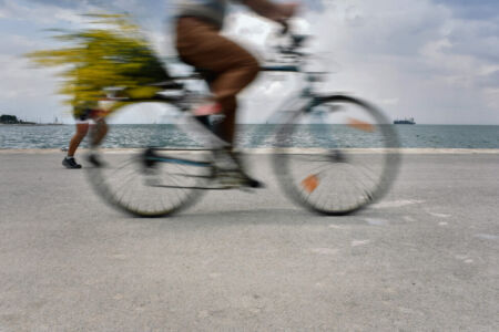 Κέλλυ Πάτσικα