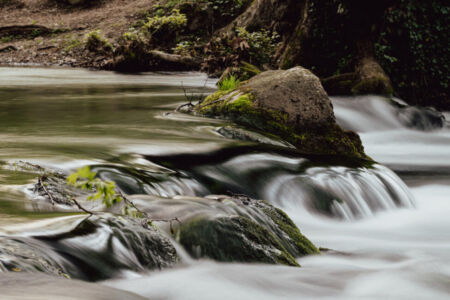 Νίκος Γιαντσίδης