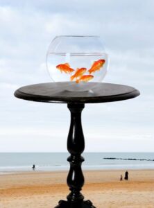 Δημήτρης Γέρος