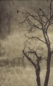 Κωνσταντίνα Στεργιοπούλου - Αποτύπωμα