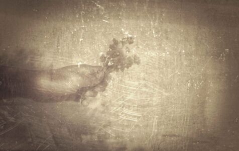 Κωνσταντίνα Στεργιοπούλου - Αποτύπωμα