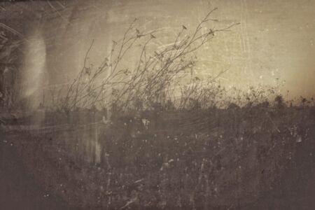 Κωνσταντίνα Στεργιοπούλου - Αποτύπωμα