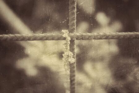 Κωνσταντίνα Στεργιοπούλου - Αποτύπωμα