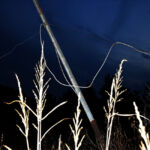 Αλέκα Τσιρώνη