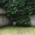 Αλέκα Τσιρώνη