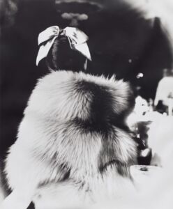 Lillian Bassman