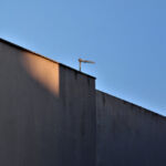 Αλέκα Τσιρώνη - Minimal