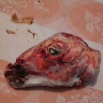 Αλέκα Τσιρώνη - No name zine, τεύχος #1