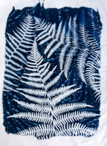 Έφη Ψαλτίδη