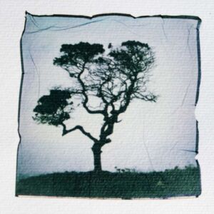 Μαρία Γεωργιάδου