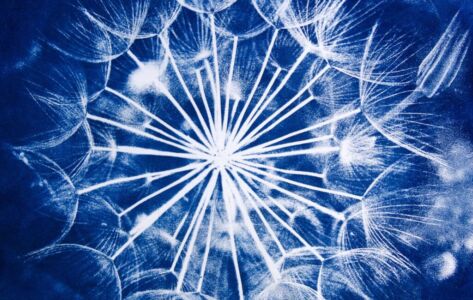 Μαρία Γεωργιάδου